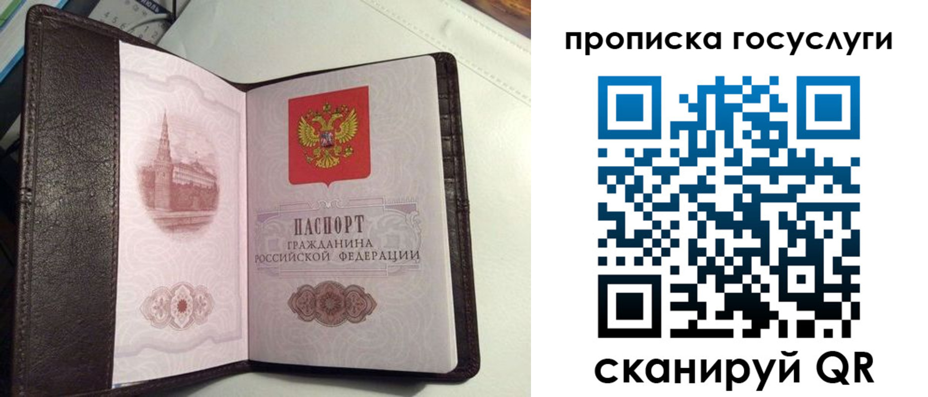временная прописка в Сосновке